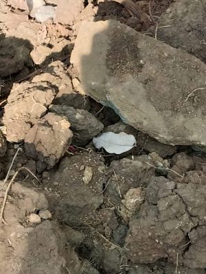 2 बम बरामद, किया निष्क्रिय