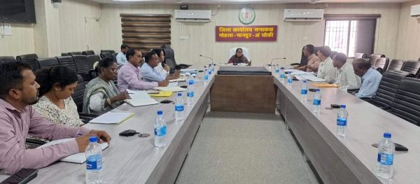 कलेक्टर ने ली जल जीवन मिशन, क्रेडा, विद्युत विभाग के अधिकारियों की बैठक