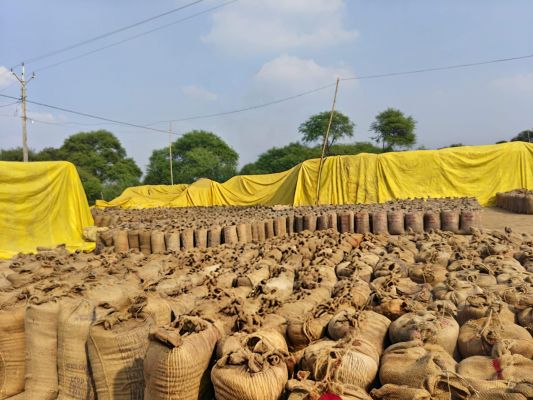 बलौदाबाजार: 85.53 लाख क्विंटल धान बेचा गया, किसानों के खाते में 1967 करोड़ 