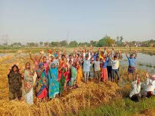 लो-वोल्टेज, सिंचाई पम्प नहीं चल पा रहा  फसल खराब होने की आशंका