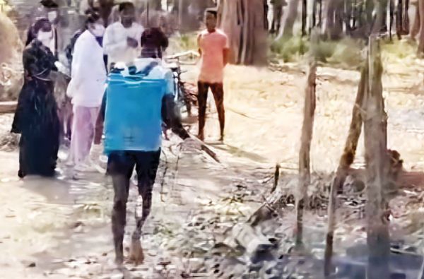 13 सुअरों में जापानी बुखार की पुष्टि, क्वारंटीन