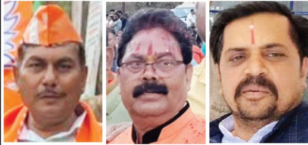भाजपा और कांग्रेस से पालिका उपाध्यक्ष  पद के दावेदारों को जनता ने दी शिकस्त