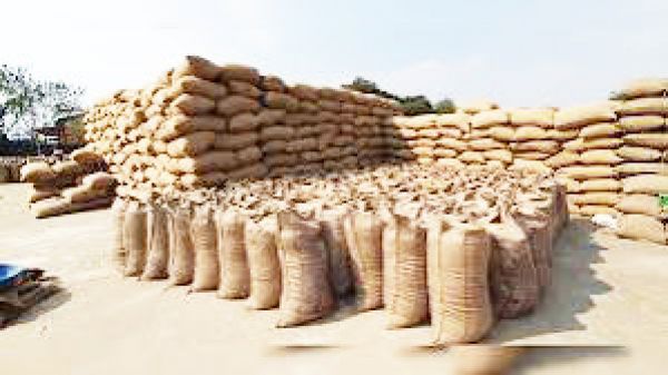 6 हजार क्विंटल से अधिक धान खुले आसमान के नीचे