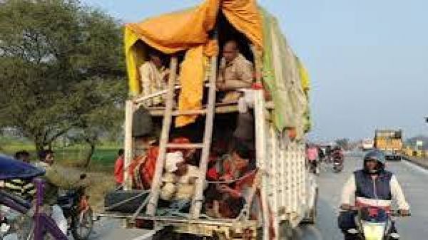 यात्री ढो रहे पिकअप दे रहे हादसों को न्यौता