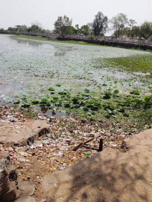 चौराहे के फव्वारे खराब, सजावटी लाइटिंग  भी नहीं जल रही है, गार्डन की सफाई नहीं