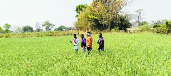 10वीं पास, मोबाइलधारक युवा बनेगा सर्वेयर, प्रति खसरे का मिलेगा 10 रुपए मानदेय