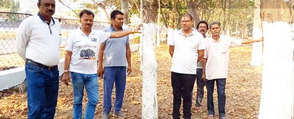 विश्व वन दिवस पर नगर निगम भिलाई में पेड़ों को संरक्षित करने का संकल्प 
