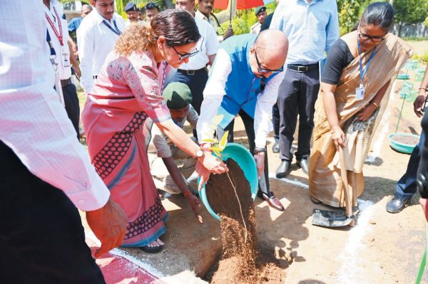 राज्यपाल ने किया लाल चंदन का पौधारोपण
