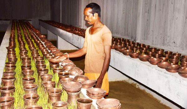 आठ दिनों की नवरात्रि कल से,  द्वितीया-तृतीया एक दिन