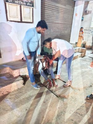 भाभी को चाकू लेकर मारने दौड़ाने वाले देवर छत से कूदा, पैर फैक्चर, अस्पताल में