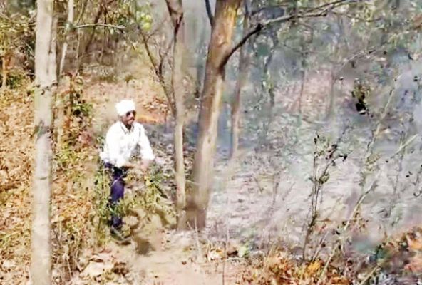 ट्रैफिक जवान ने पर्यावरण के प्रति दिखाया प्रेम
