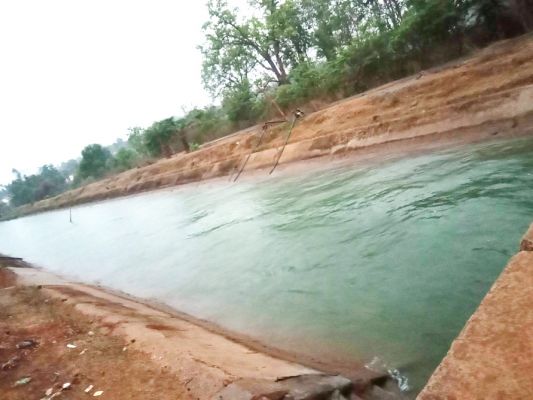 किसानों की मांग पर कोसारटेडा जलाशय से छोड़ा गया पानी