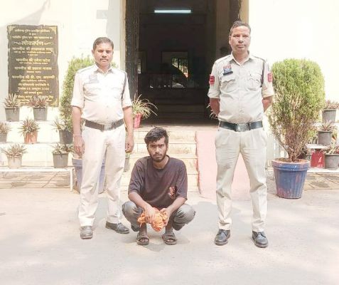 तलवार लहरा डराने वाला युवक गिरफ्तार