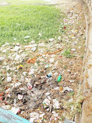 पानी साफ करने वाले पैठू पर कब्जा, इसलिए जलकुंभियों से अटा तालाब 