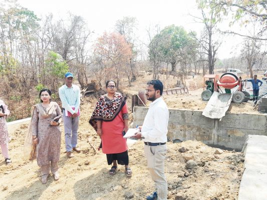 कलेक्टर ने विकास कार्यों का किया निरीक्षण