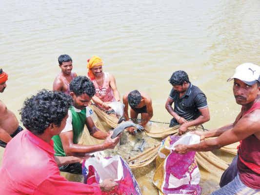 शासकीय योजना से मिली रोजगार की राह, दिनेश ने मत्स्य पालन से बनाई पहचान
