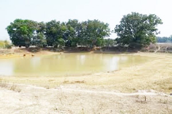 90 फीसदी सरकारी व निजी भावनाओं में वाटर हार्वेस्टिंग सिस्टम नहीं है