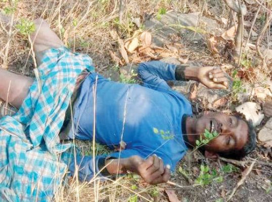 ग्रामीण को हाथी ने पटककर मार डाला