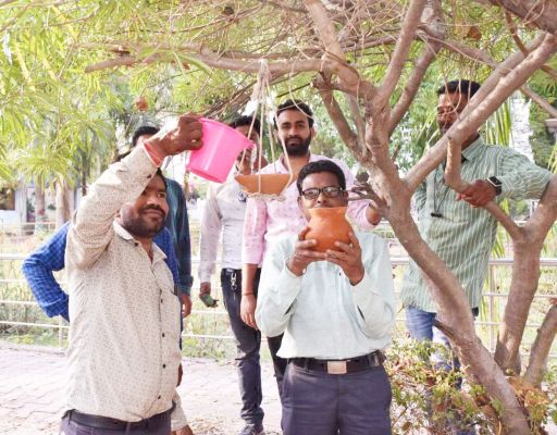 कलेक्टोरेट गार्डन में लगाए गए सकोरे