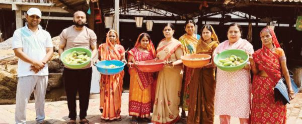 गौ शाला में सफाई चारा वितरण किया