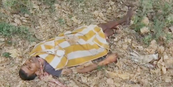 पेड़ पर लटकती मिली लाश