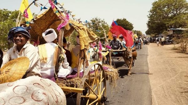 बैलगाडिय़ों में बारात निकली, 54 आदिवासी जोड़ों ने लिया प्रकृति के सान्निध्य में फेरे