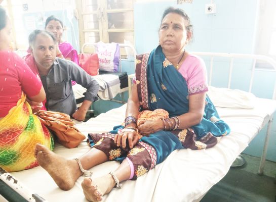 भानपुरी में 3 लोगों पर मधुमक्खियों ने किया हमला, बचाने गई महिला को 20 डंक मारे