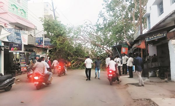 बेमौसम बारिश से धान फसल की बालियां झड़ी