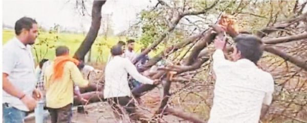 तेज हवाओं के साथ बारिश, पेड़ गिरे और बिजली गुल