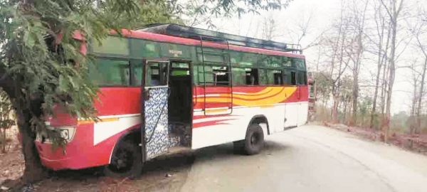 बेकाबू बस पेड़ से टकराई, 10 यात्री जख्मी