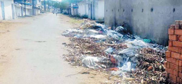 कॉलोनी के कचरे से औद्योगिक क्षेत्र में फैल रही गंदगी