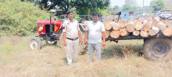 अवैध इमारती लकड़ी से भरे 2 ट्रैक्टर-ट्रॉली को चालक सहित पकड़ा