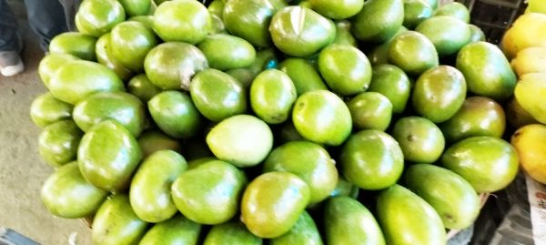 बाजार में पके और कच्चे आम की भरपूर आवक