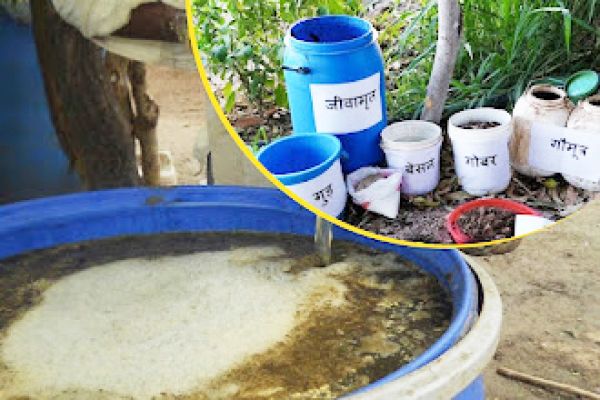 प्राकृतिक खेती एक रसायन मुक्त खेती पद्धति