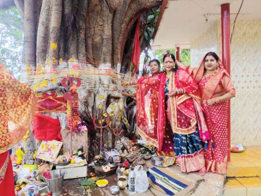 पति की दीर्घायु के लिए रखा वट सावित्री व्रत
