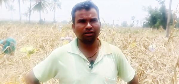 बेमौसम बारिश: फसल, मवेशी, मकान को नुकसान, जनहानि भी