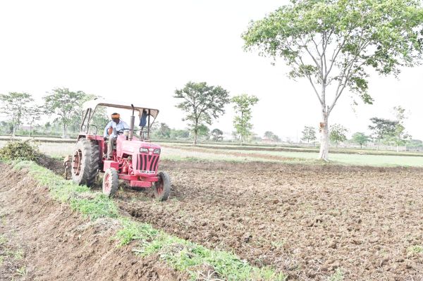 105 करोड़ का लोन बंटा, 1.39 लाख हेक्टेयर में होगा धान, खाद भंडारण 50 फीसदी पूरा