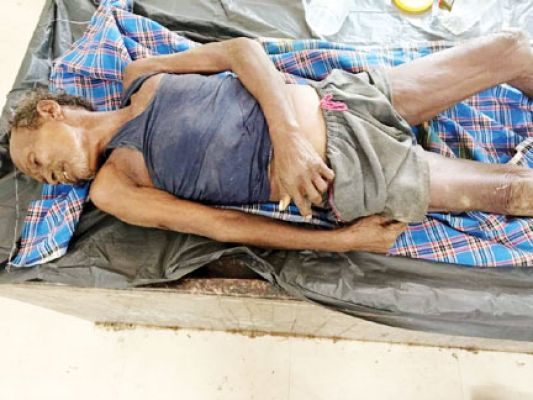 खेत जोतने पहुंचे किसान को बैल ने पटका, मौत