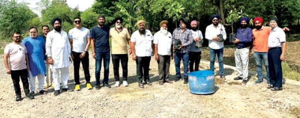 रामगढिय़ा सेवक  सभाने रोपे पौधे
