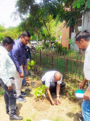 ईडी सेलट ने वृक्षारोपण कर लिया सुरक्षा का संकल्प