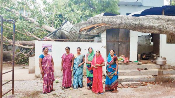  आंधी-बारिश, पुराना पीपल पेड़ स्कूल के किचन शेड पर गिरा