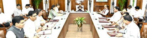 बाघों को बचाने टाइगर फाउंडेशन, महुआ चाय ब्रांड अब जशप्योर के अधीन