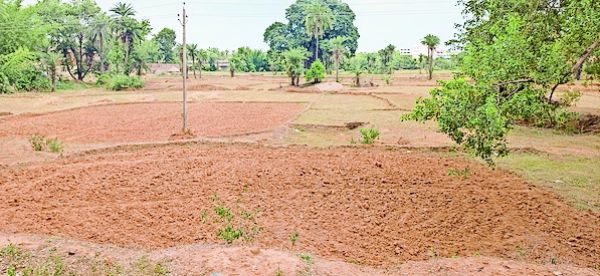  येलो अलर्ट जारी, खेत भी तैयार पर नहीं  हो रही बारिश , पिछड़ रही खेती