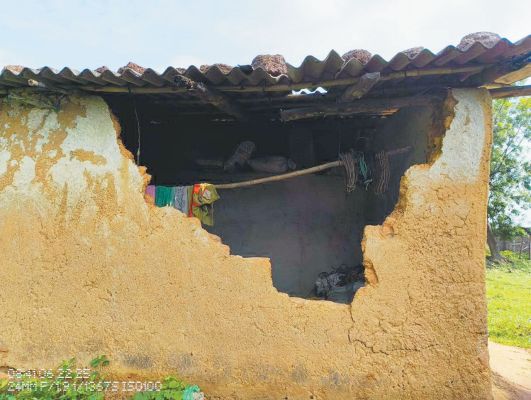  छाल क्षेत्र में सडक़ पर आया डेढ़ दर्जन हाथियों का झुंड