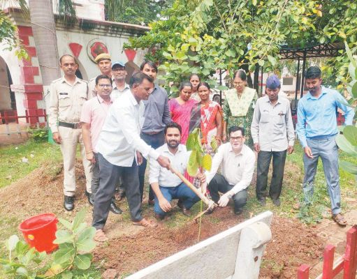 शासकीय कार्यालयों में पौधरोपण किया, जिलेभर में लगाए गए लगभग 18 हजार पौधे
