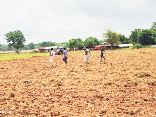 बारिश, किसान खेती में जुटे