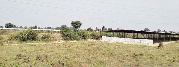 धरमजयगढ़ में भी कहीं न हो बजरमुड़ा की पुनरावृत्ति