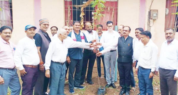 महापौर ने तहसील कार्यालय परिसर  में किया पौधरोपण