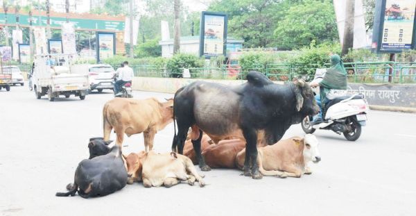 दोनों समस्याएं जस की तस