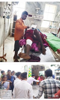 बायसन के हमले से महिला की मौत